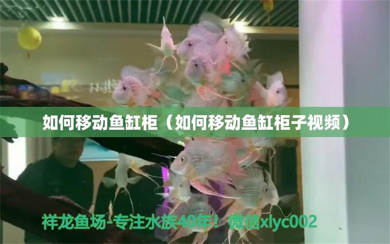 如何移動魚缸柜（如何移動魚缸柜子視頻）