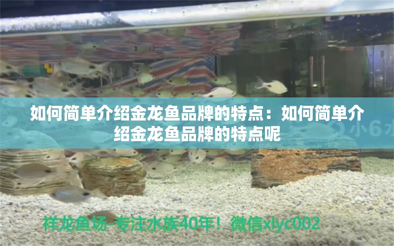 如何簡單介紹金龍魚品牌的特點：如何簡單介紹金龍魚品牌的特點呢