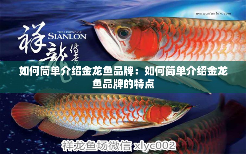 如何簡(jiǎn)單介紹金龍魚(yú)品牌：如何簡(jiǎn)單介紹金龍魚(yú)品牌的特點(diǎn)