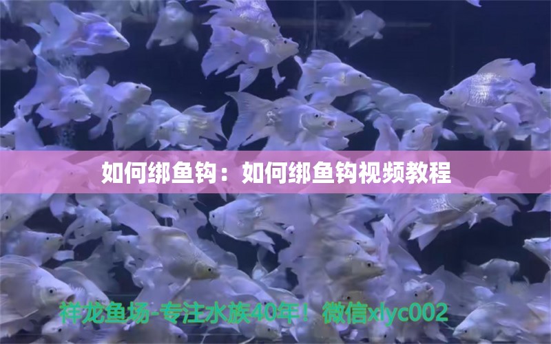 如何綁魚鉤：如何綁魚鉤視頻教程