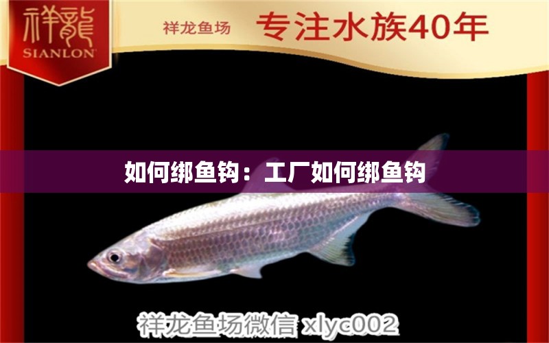 如何綁魚鉤：工廠如何綁魚鉤 垂釣樂園