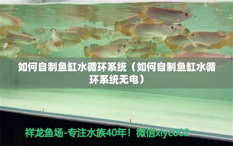 如何自制魚(yú)缸水循環(huán)系統(tǒng)（如何自制魚(yú)缸水循環(huán)系統(tǒng)無(wú)電） 祥龍水族醫(yī)院