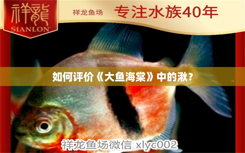 如何評價《大魚海棠》中的湫？ 朱巴利魚苗