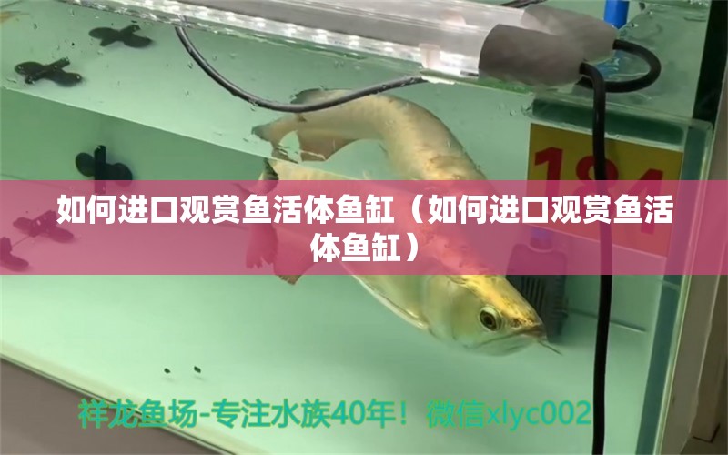 如何進口觀賞魚活體魚缸（如何進口觀賞魚活體魚缸）