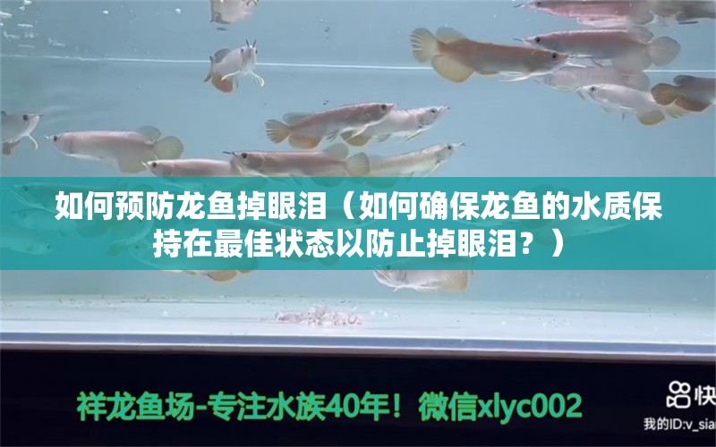 如何預防龍魚掉眼淚（如何確保龍魚的水質保持在最佳狀態(tài)以防止掉眼淚？） 水族問答 第2張