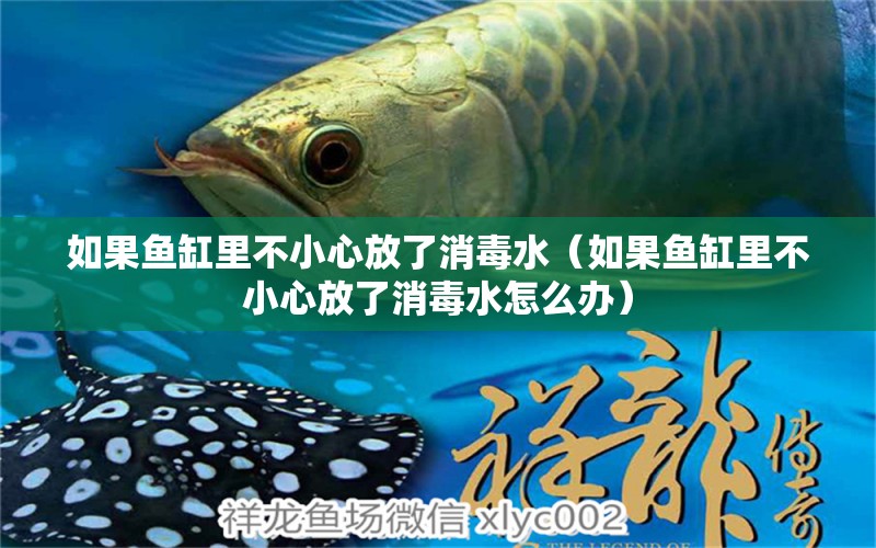 如果魚缸里不小心放了消毒水（如果魚缸里不小心放了消毒水怎么辦）