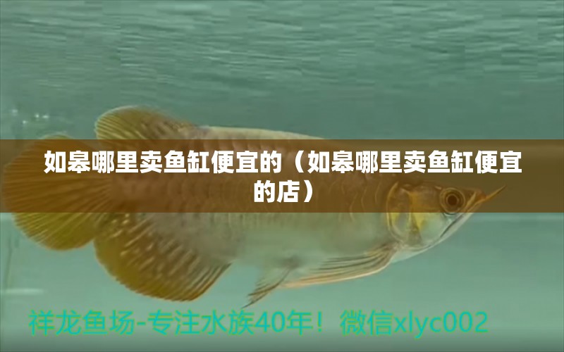 如皋哪里賣魚缸便宜的（如皋哪里賣魚缸便宜的店）