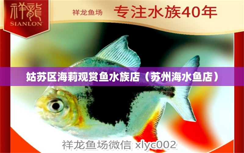 姑蘇區(qū)海莉觀賞魚水族店（蘇州海水魚店） 海水魚