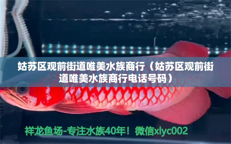 姑蘇區(qū)觀前街道唯美水族商行（姑蘇區(qū)觀前街道唯美水族商行電話號碼）