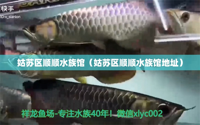 姑蘇區(qū)順順水族館（姑蘇區(qū)順順水族館地址）