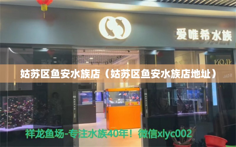 姑蘇區(qū)魚安水族店（姑蘇區(qū)魚安水族店地址） 全國水族館企業(yè)名錄 第2張