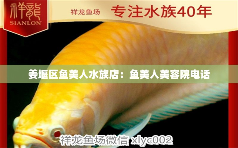 姜堰區(qū)魚(yú)美人水族店：魚(yú)美人美容院電話 全國(guó)水族館企業(yè)名錄