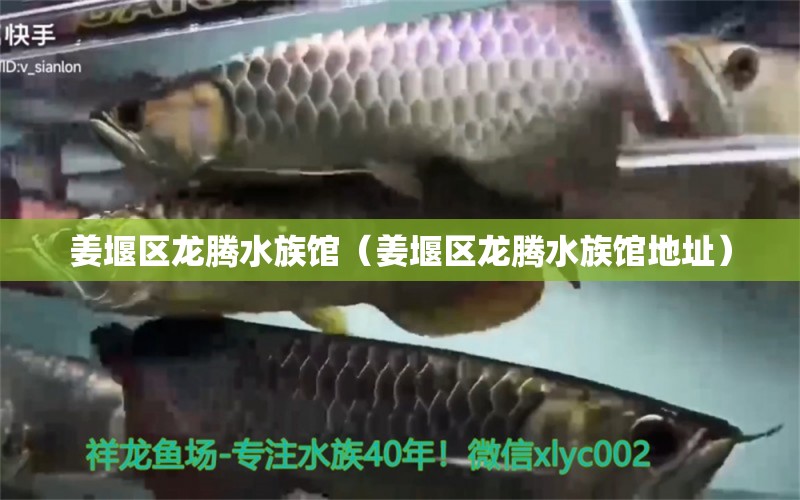 姜堰區(qū)龍騰水族館（姜堰區(qū)龍騰水族館地址） 全國水族館企業(yè)名錄