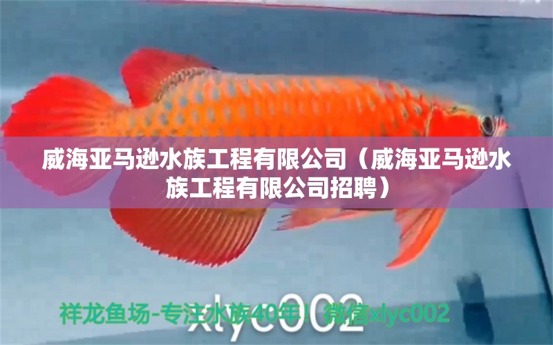 威海亞馬遜水族工程有限公司（威海亞馬遜水族工程有限公司招聘）