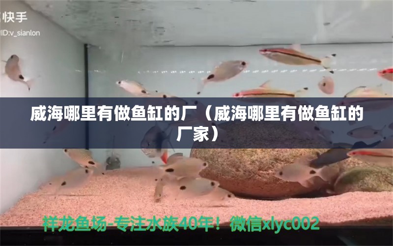 威海哪里有做魚缸的廠（威海哪里有做魚缸的廠家） 其他品牌魚缸