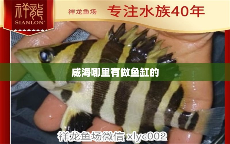 威海哪里有做魚缸的 其他品牌魚缸