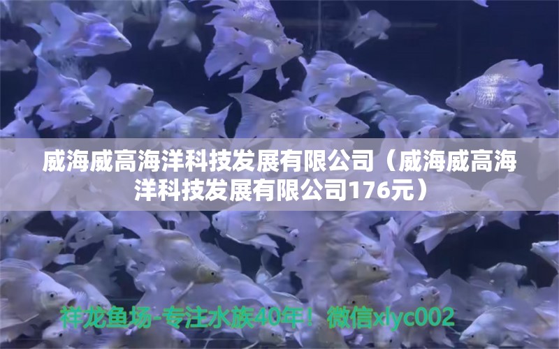 威海威高海洋科技發(fā)展有限公司（威海威高海洋科技發(fā)展有限公司176元）