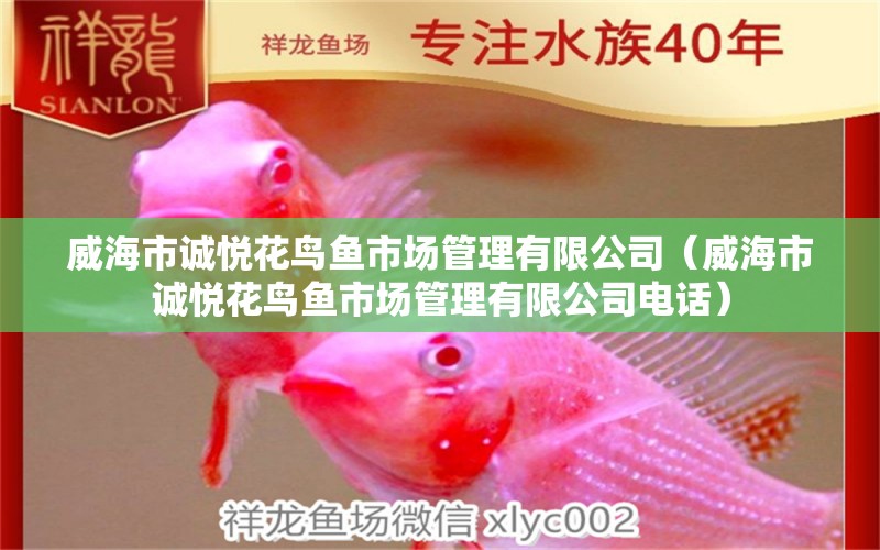 威海市誠悅花鳥魚市場管理有限公司（威海市誠悅花鳥魚市場管理有限公司電話） 全國水族館企業(yè)名錄