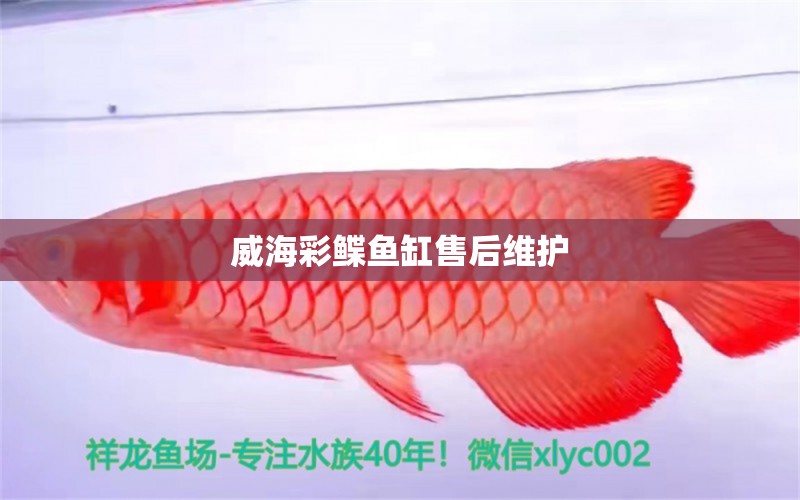 威海彩鰈魚缸售后維護(hù) 彩鰈魚缸（彩蝶魚缸）