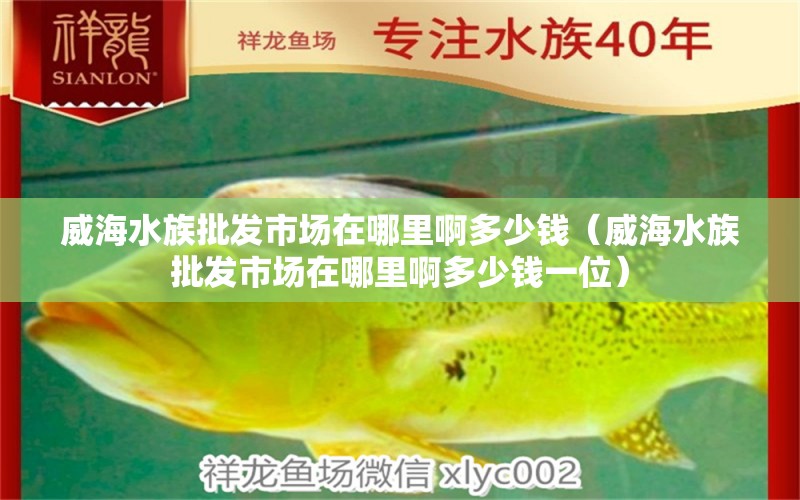 威海水族批發(fā)市場(chǎng)在哪里啊多少錢（威海水族批發(fā)市場(chǎng)在哪里啊多少錢一位） 觀賞魚水族批發(fā)市場(chǎng)