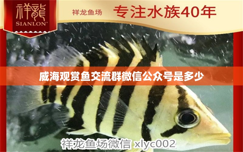 威海觀賞魚交流群微信公眾號是多少 祥龍魚場