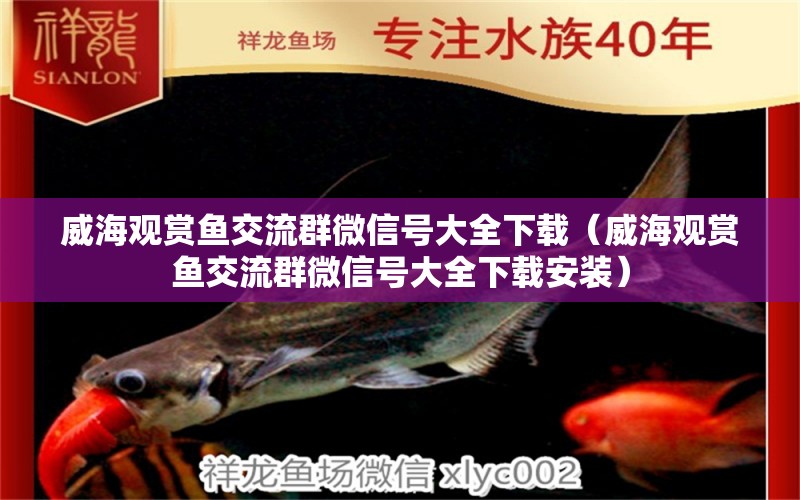 威海觀賞魚交流群微信號大全下載（威海觀賞魚交流群微信號大全下載安裝）