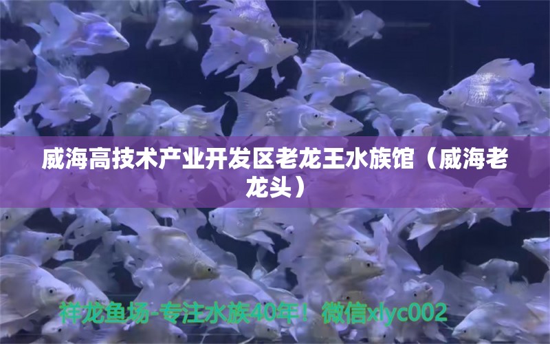 威海高技術(shù)產(chǎn)業(yè)開發(fā)區(qū)老龍王水族館（威海老龍頭）