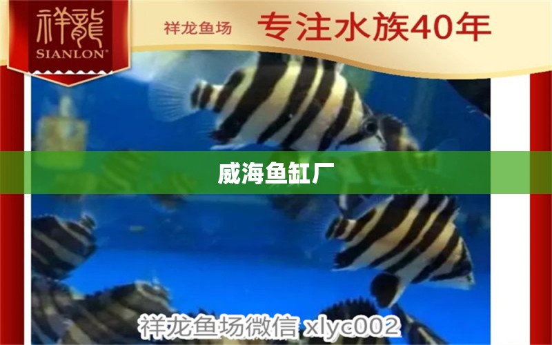 威海魚缸廠 其他品牌魚缸