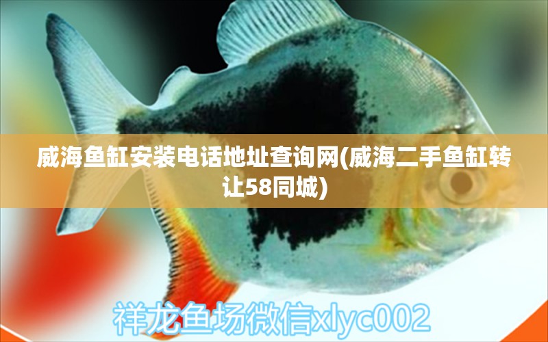 威海魚缸安裝電話地址查詢網(wǎng)(威海二手魚缸轉(zhuǎn)讓58同城) 祥龍金禾金龍魚