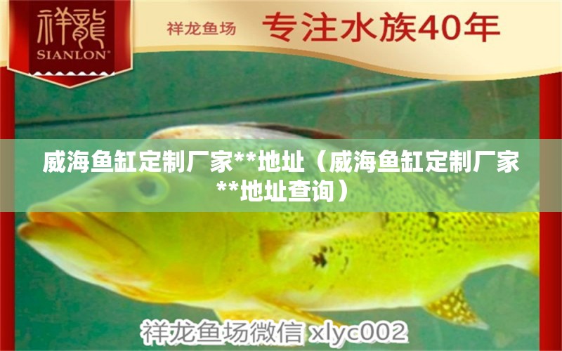 威海魚缸定制廠家**地址（威海魚缸定制廠家**地址查詢） 帝王迷宮魚