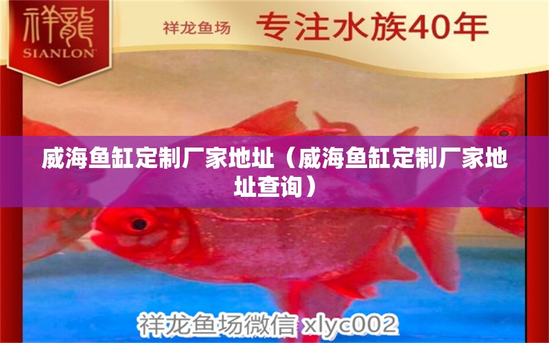 威海魚缸定制廠家地址（威海魚缸定制廠家地址查詢） 廣州觀賞魚批發(fā)市場