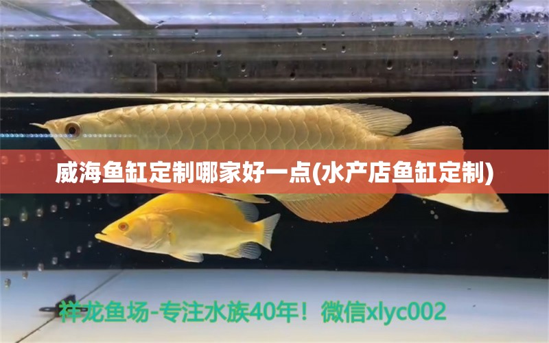 威海魚缸定制哪家好一點(水產(chǎn)店魚缸定制) 養(yǎng)魚知識