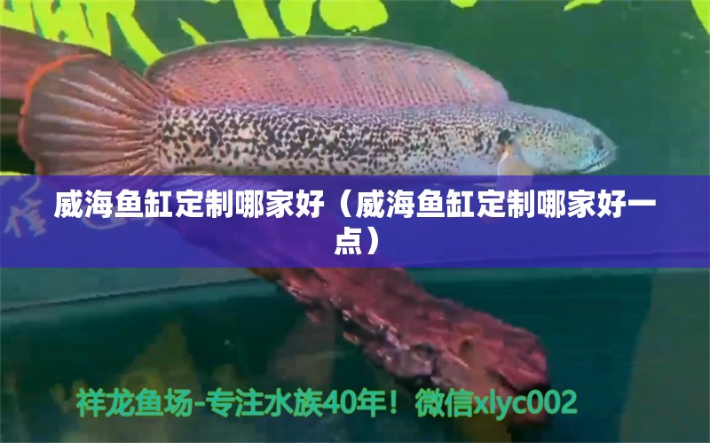 威海魚缸定制哪家好（威海魚缸定制哪家好一點(diǎn)） 招財(cái)戰(zhàn)船魚