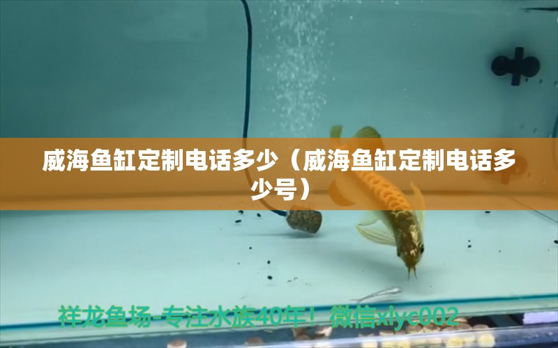 威海魚缸定制電話多少（威海魚缸定制電話多少號） 熱帶魚魚苗批發(fā)