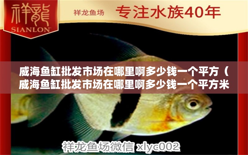 威海魚缸批發(fā)市場(chǎng)在哪里啊多少錢一個(gè)平方（威海魚缸批發(fā)市場(chǎng)在哪里啊多少錢一個(gè)平方米）