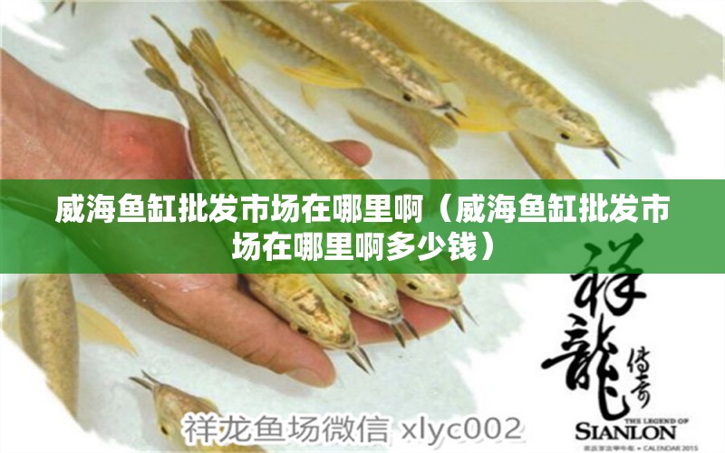 威海魚缸批發(fā)市場在哪里?。ㄍｔ~缸批發(fā)市場在哪里啊多少錢）