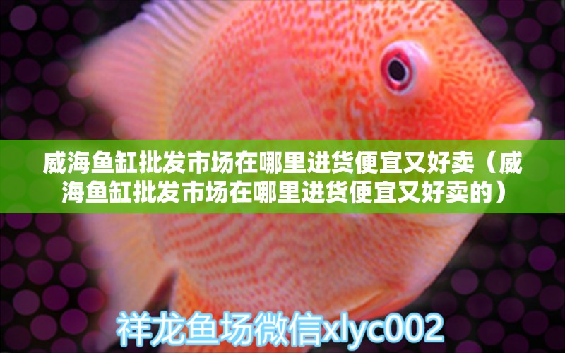 威海魚缸批發(fā)市場在哪里進貨便宜又好賣（威海魚缸批發(fā)市場在哪里進貨便宜又好賣的）