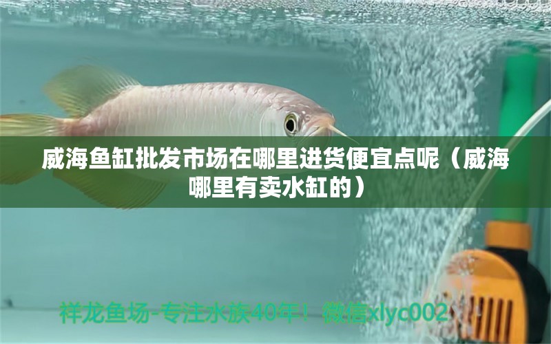 威海魚缸批發(fā)市場(chǎng)在哪里進(jìn)貨便宜點(diǎn)呢（威海哪里有賣水缸的）