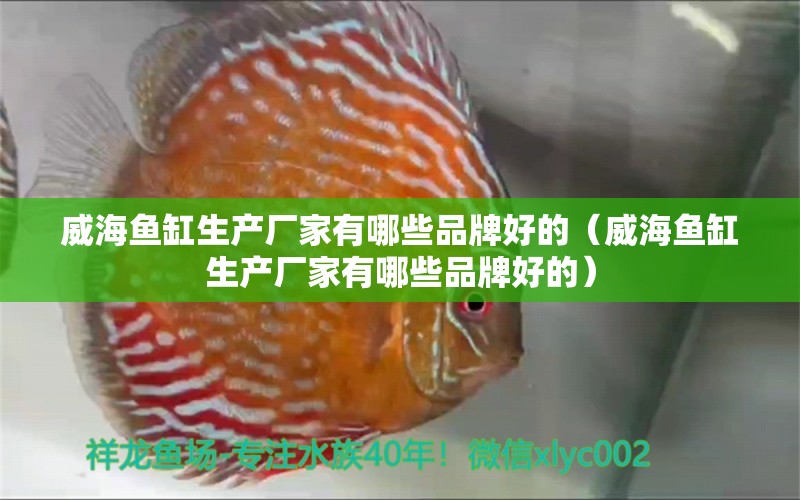 威海魚缸生產(chǎn)廠家有哪些品牌好的（威海魚缸生產(chǎn)廠家有哪些品牌好的）