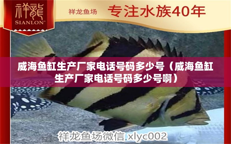 威海魚缸生產(chǎn)廠家電話號碼多少號（威海魚缸生產(chǎn)廠家電話號碼多少號?。? title=