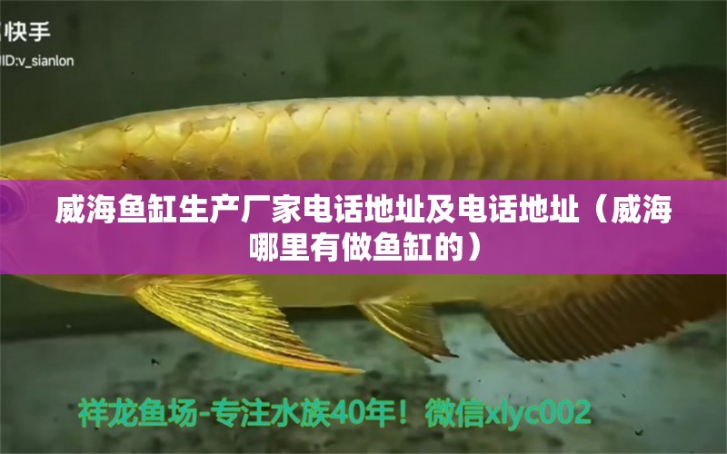 威海魚缸生產(chǎn)廠家電話地址及電話地址（威海哪里有做魚缸的）