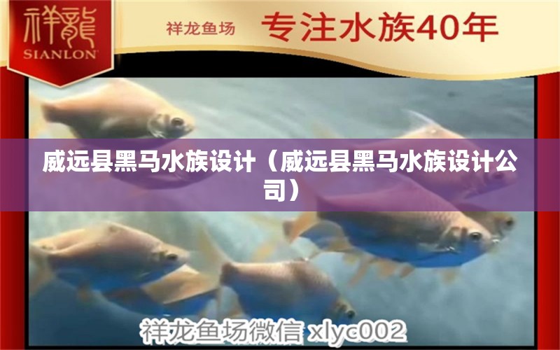 威遠縣黑馬水族設計（威遠縣黑馬水族設計公司）