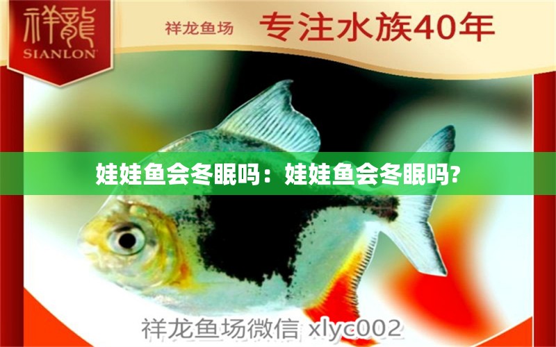 娃娃魚(yú)會(huì)冬眠嗎：娃娃魚(yú)會(huì)冬眠嗎?