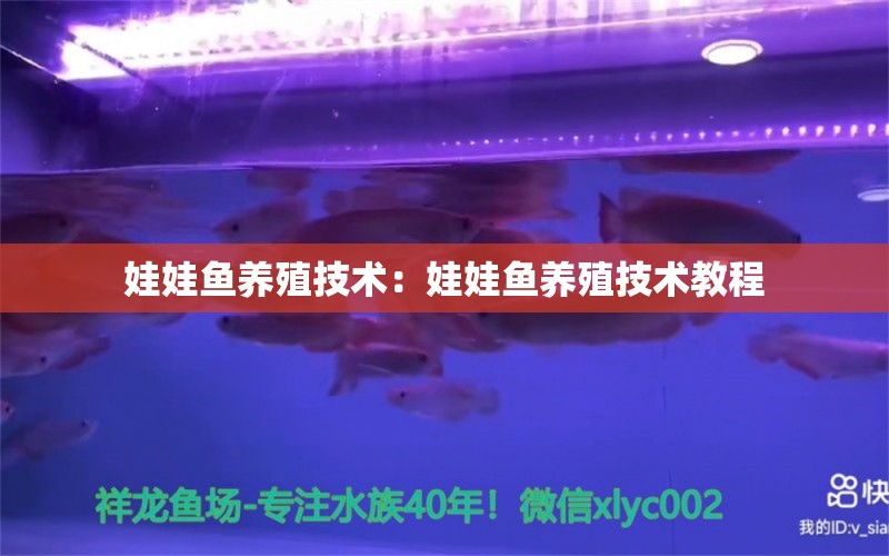 娃娃魚(yú)養(yǎng)殖技術(shù)：娃娃魚(yú)養(yǎng)殖技術(shù)教程