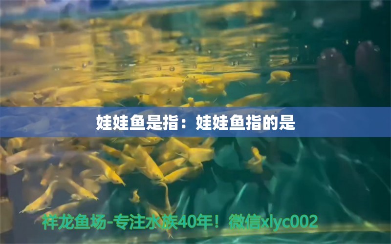 娃娃魚是指：娃娃魚指的是 觀賞魚