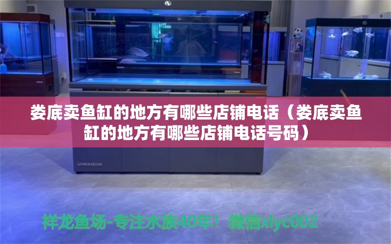 婁底賣魚缸的地方有哪些店鋪電話（婁底賣魚缸的地方有哪些店鋪電話號碼）