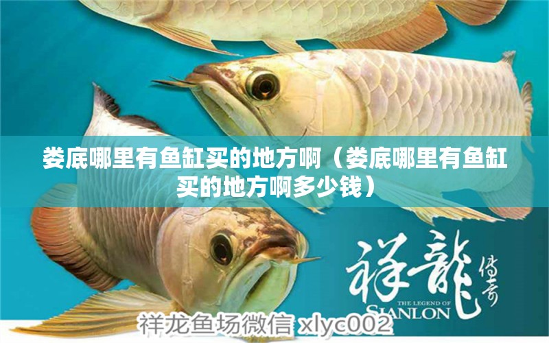 婁底哪里有魚缸買的地方?。▕涞啄睦镉恤~缸買的地方啊多少錢）