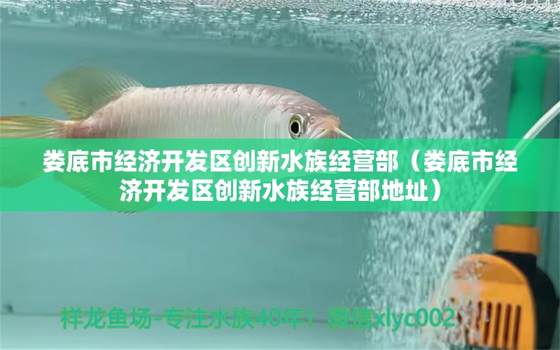 婁底市經(jīng)濟(jì)開(kāi)發(fā)區(qū)創(chuàng)新水族經(jīng)營(yíng)部（婁底市經(jīng)濟(jì)開(kāi)發(fā)區(qū)創(chuàng)新水族經(jīng)營(yíng)部地址）