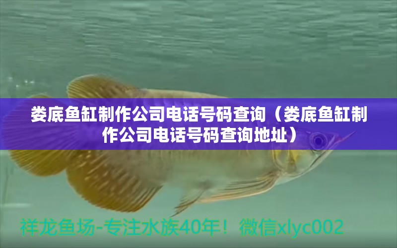 婁底魚缸制作公司電話號碼查詢（婁底魚缸制作公司電話號碼查詢地址）