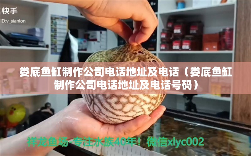 婁底魚缸制作公司電話地址及電話（婁底魚缸制作公司電話地址及電話號碼）